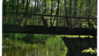 Wielbark – Kucbork (niem. Willenberg – Kutzburg)